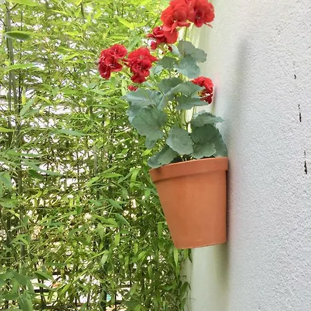 Design Alfama בית נופש